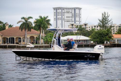 Sea Chaser 21LX ficha técnica y opiniones